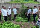 पर्यावरणप्रेमी नागरिकांनी केले २० ते २५ किमीच्या रस्त्याच्या दुतर्फा ३ क्विंटल निंबोळ्यांचे बीजारोपण......