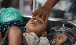 Eight More Children Die in Bangladesh from Measles and Related Infections, Death Toll Rises to 639