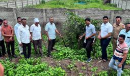 पर्यावरणप्रेमी नागरिकांनी केले २० ते २५ किमीच्या रस्त्याच्या दुतर्फा ३ क्विंटल निंबोळ्यांचे बीजारोपण......
